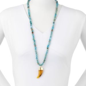Panacea Turquoise Long Beaded Agate Horn Necklace